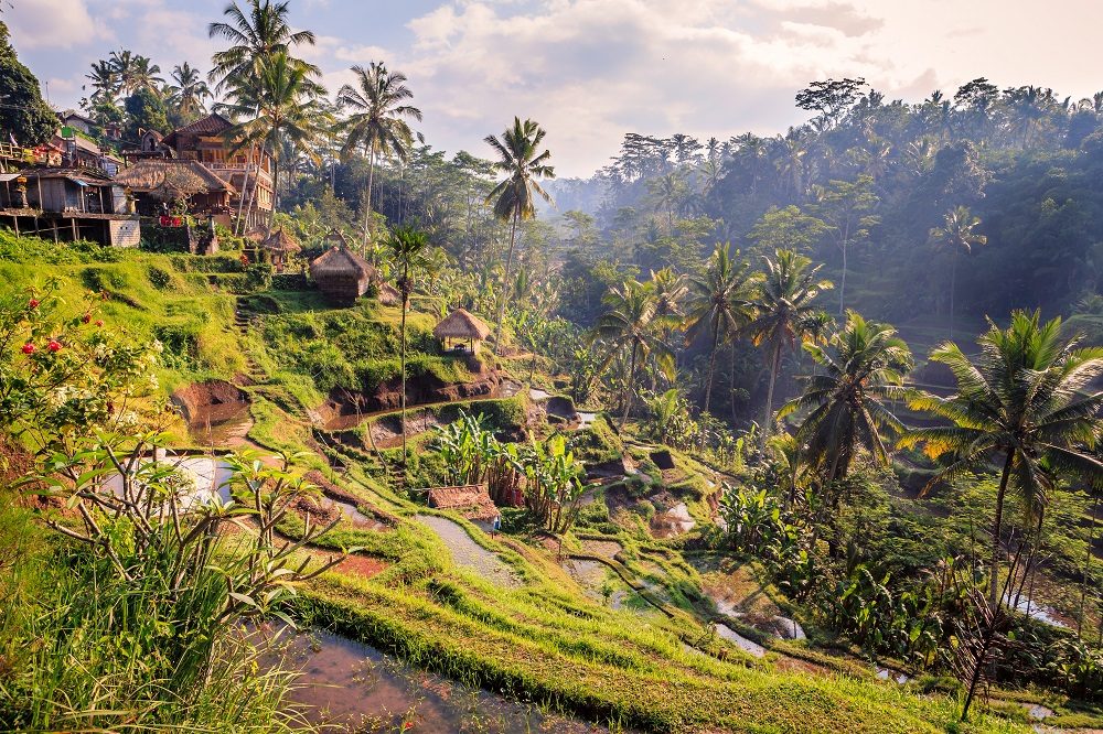 Singapore & Bali